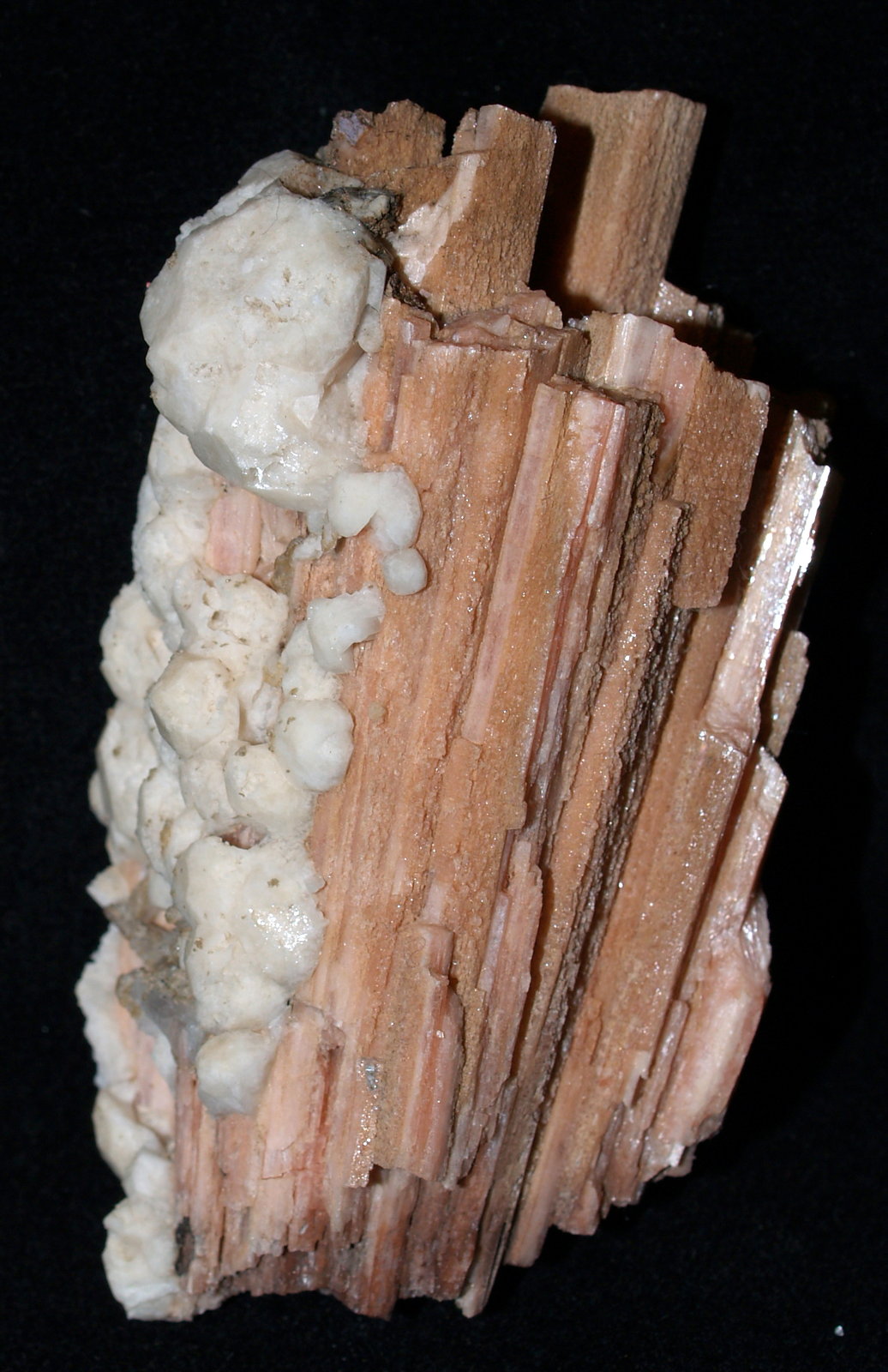 Analcime on Sérandite
9x5x3.5 cm
(Autor: Joseph DOliveira)