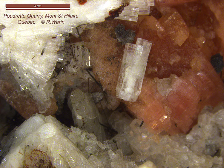 Leifite on Serandite
(Autor: Roger Warin)