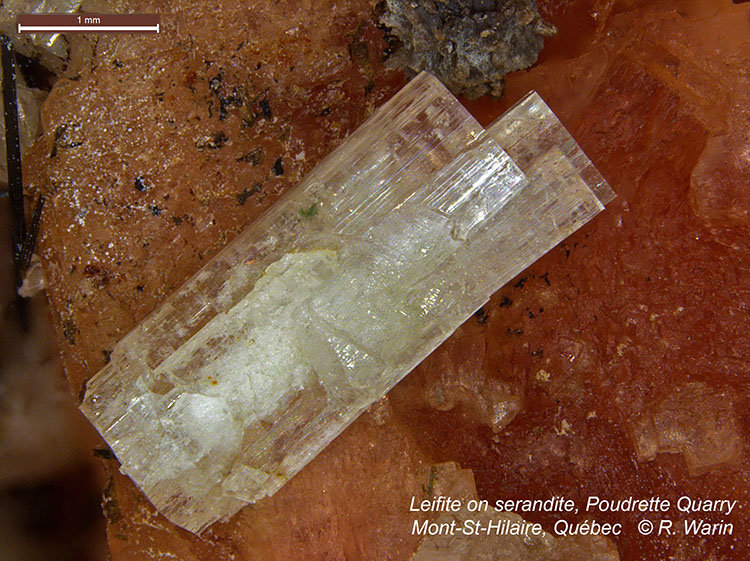 Leifite on Serandite
(Autor: Roger Warin)