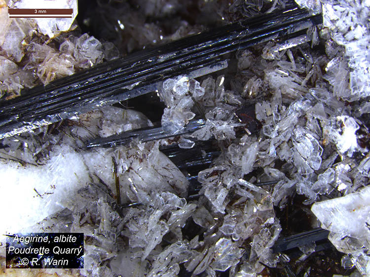 Albite with Aegirine
(Autor: Roger Warin)