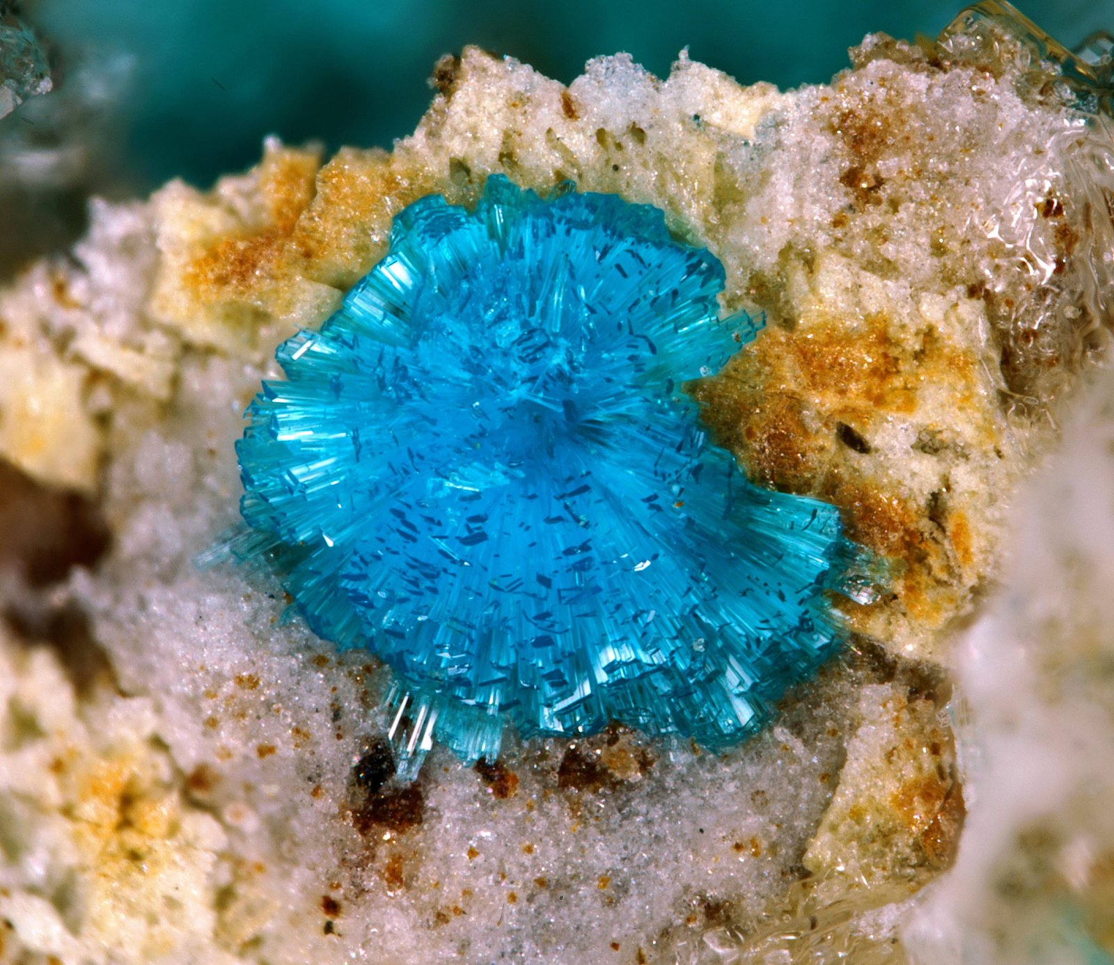 Serpierite
FOV 1 mm
(Autor: Firmo Espinar)