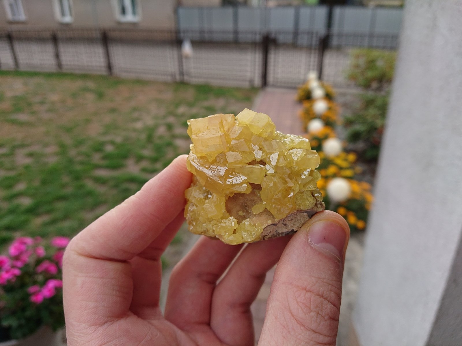 Sulphur
5,5 x 5 cm
(Autor: sauer11)