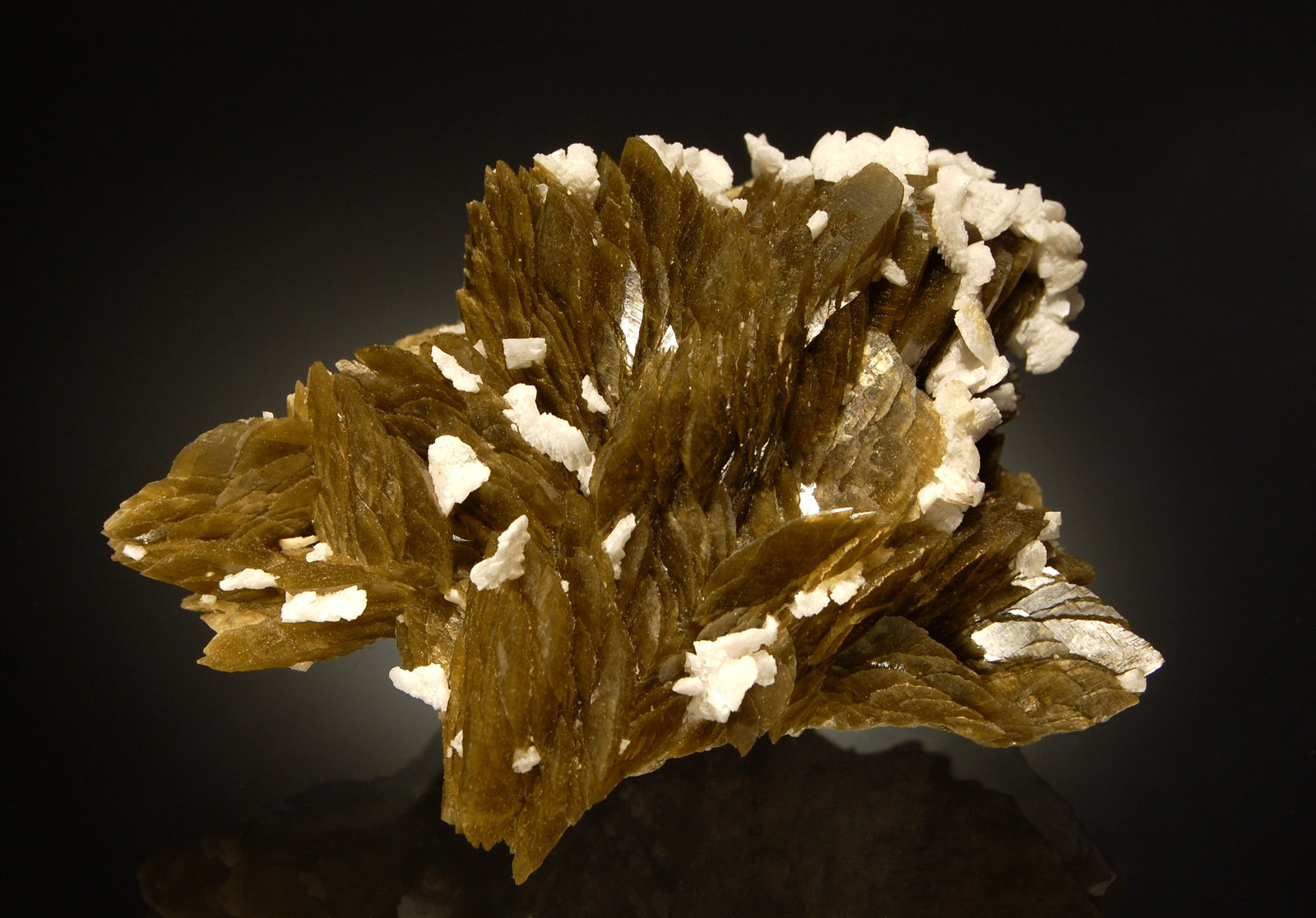 Siderite
5.8 x 8.1 cm
(Autor: Michael Shaw)