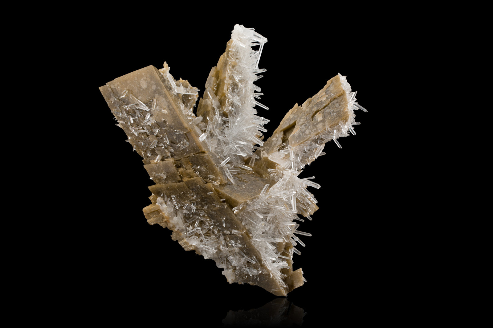 Siderite
19,0 x 17,0 x 9,0 cm
(Autor: MIM Museum)