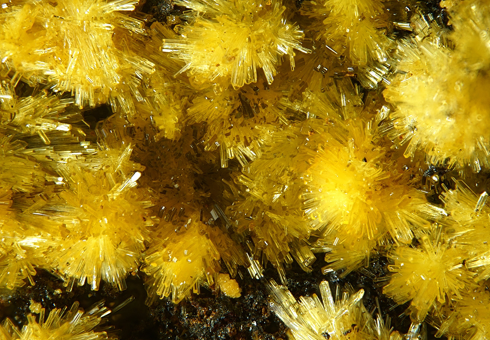 Sideronatrite
fov 3.2 mm
(Autor: Jordi Fabre)
