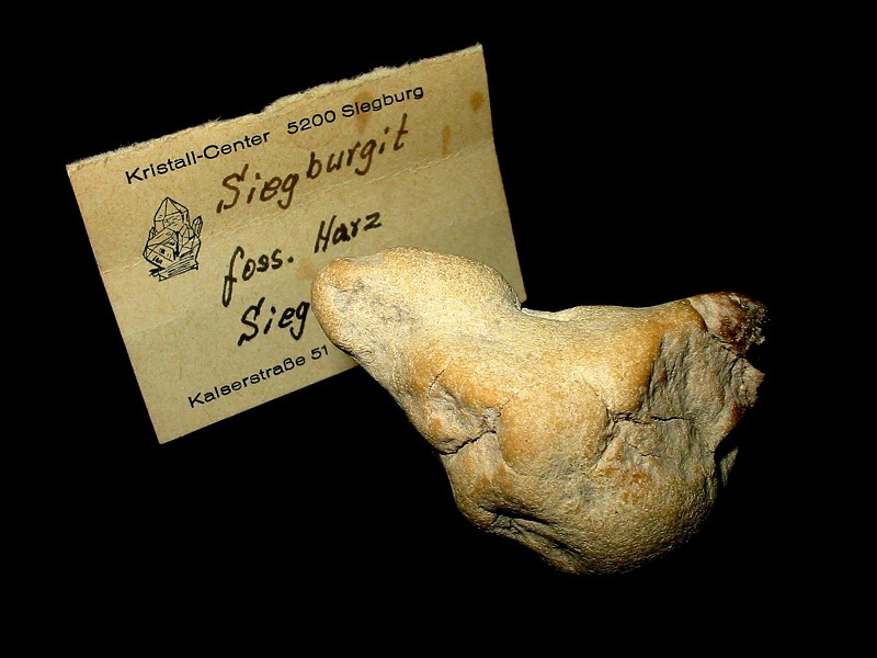 Amber (variety siegburgite)
5,5 x 3,5 cm
(Autor: Andreas Gerstenberg)
