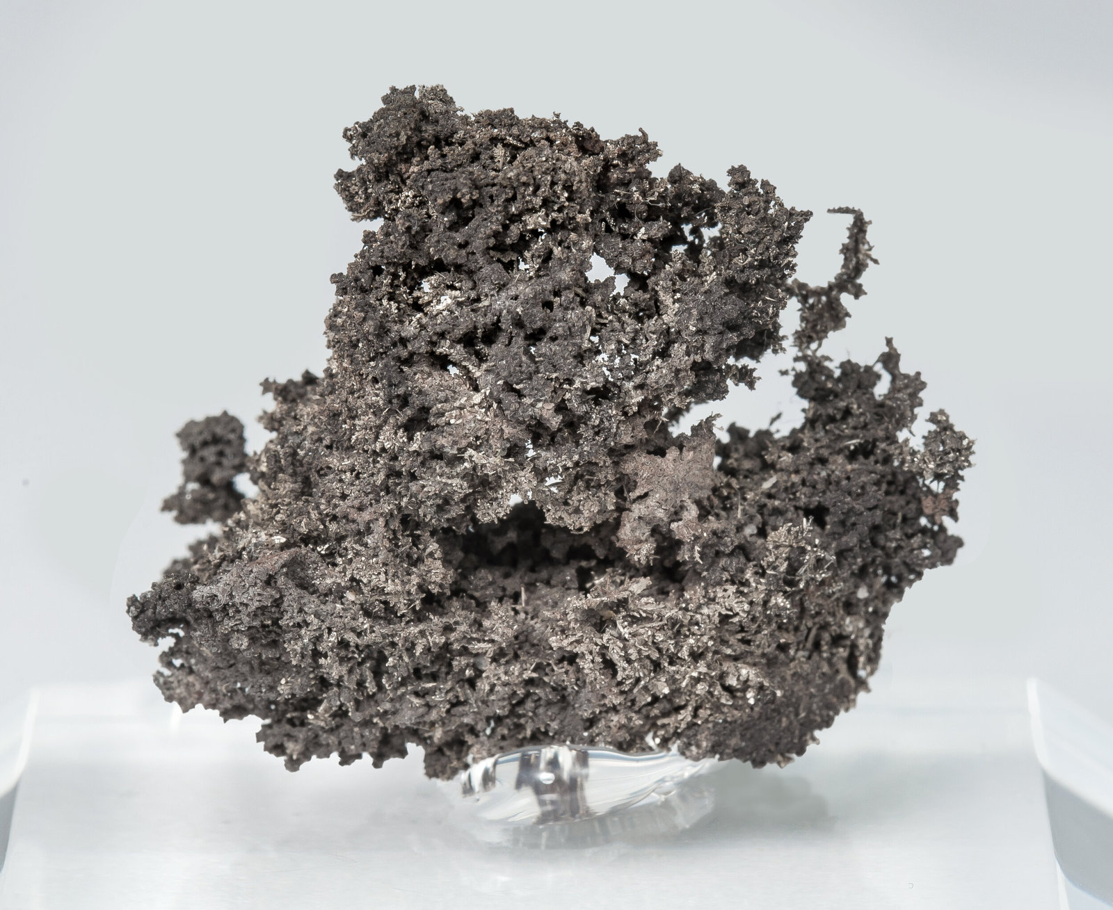 Silver (variety kongsbergite)
25 mm x 22 mm x 11 mm
(Autor: Firmo Espinar)