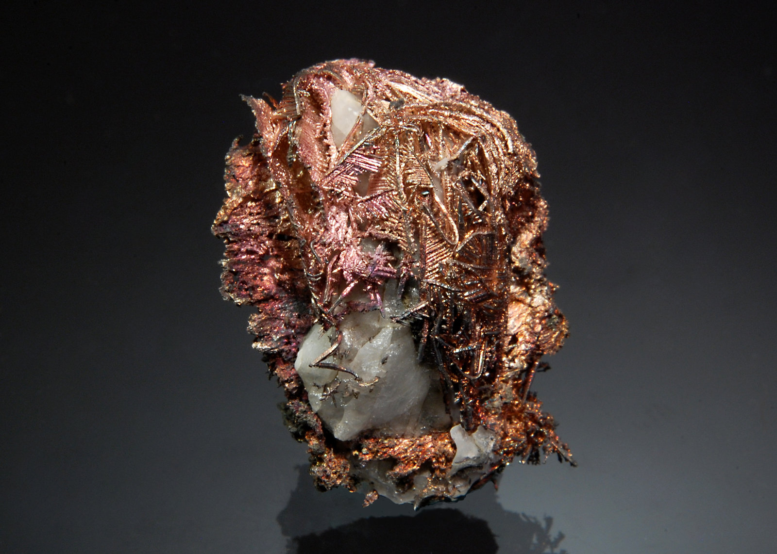 Silver
1.9 x 2.6 cm
(Autor: Michael Shaw)