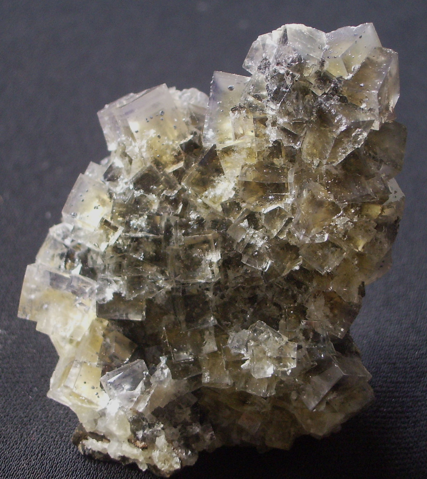 Fluorite
7cm
(Autor: colin robinson)
