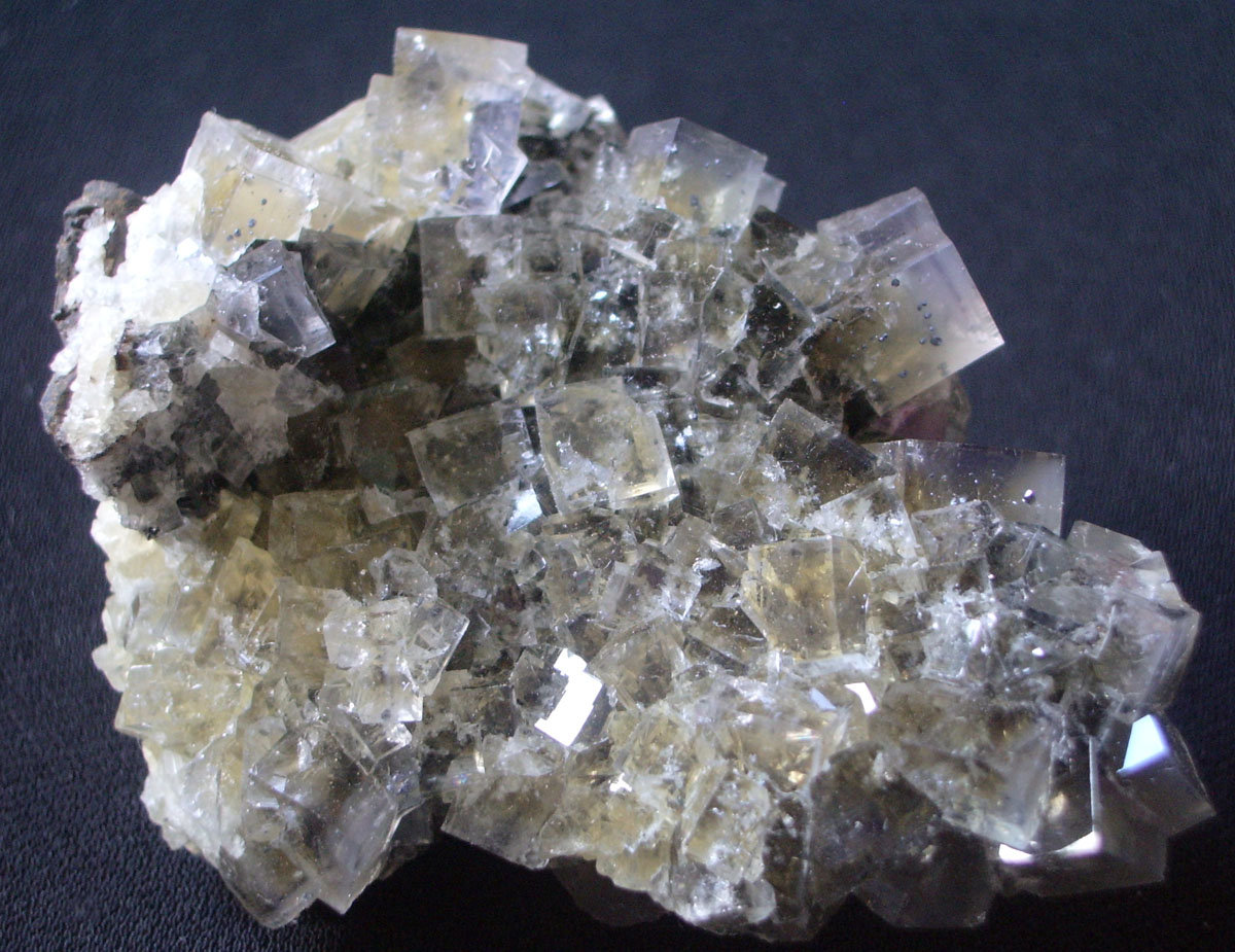Fluorite
8cm
(Autor: colin robinson)