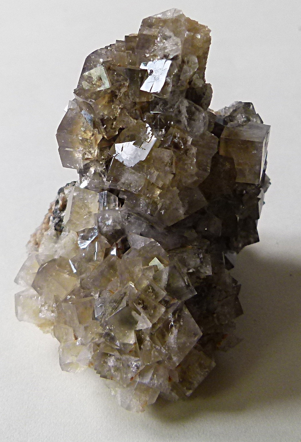 Fluorite
8cm
(Autor: colin robinson)