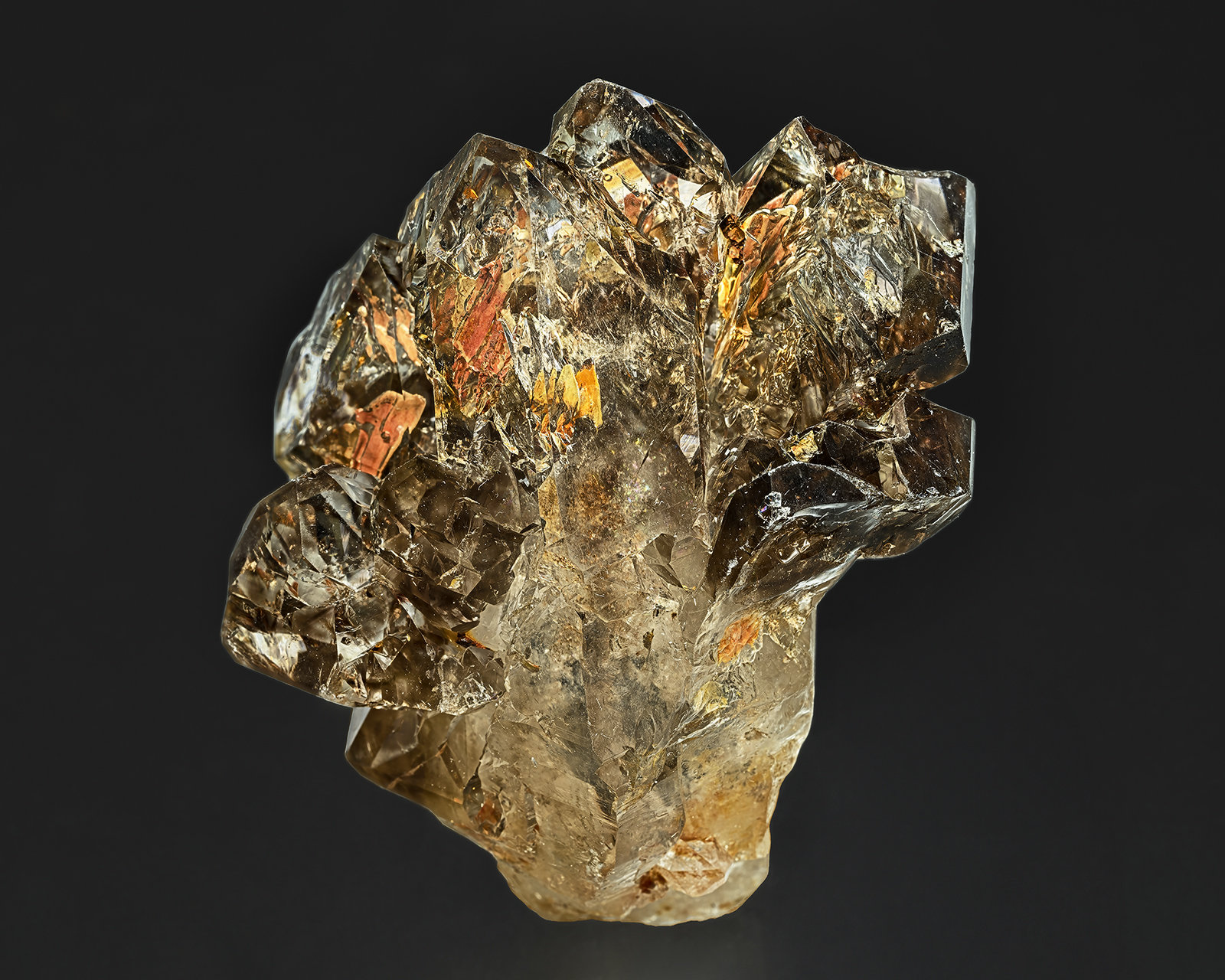 Quartz (variety smoky quartz)
7.7 x 7.1 cm
(Autor: am mizunaka)
