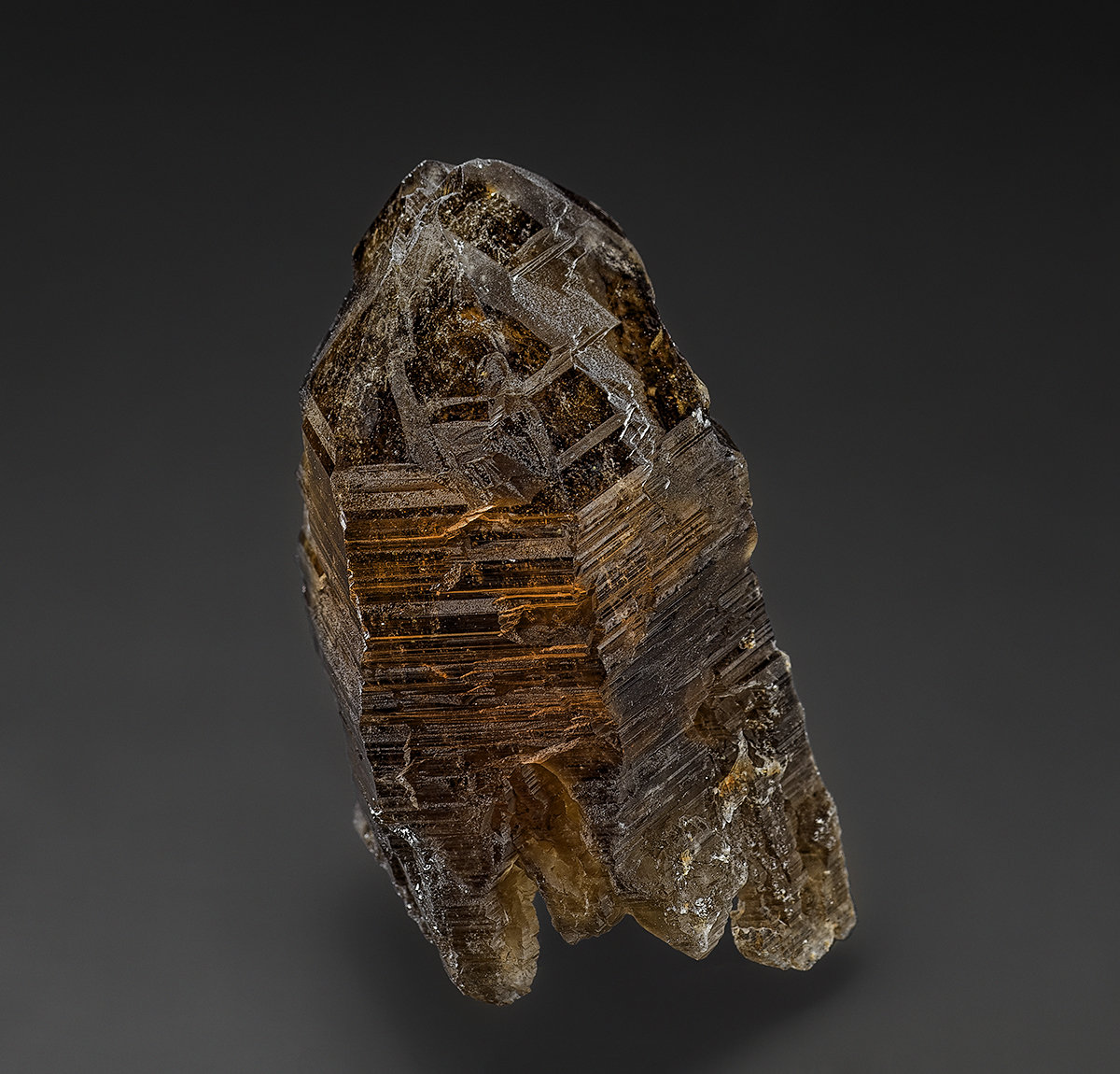 Quartz (variety smoky quartz)
5.0 x 2.6 cm
(Autor: am mizunaka)