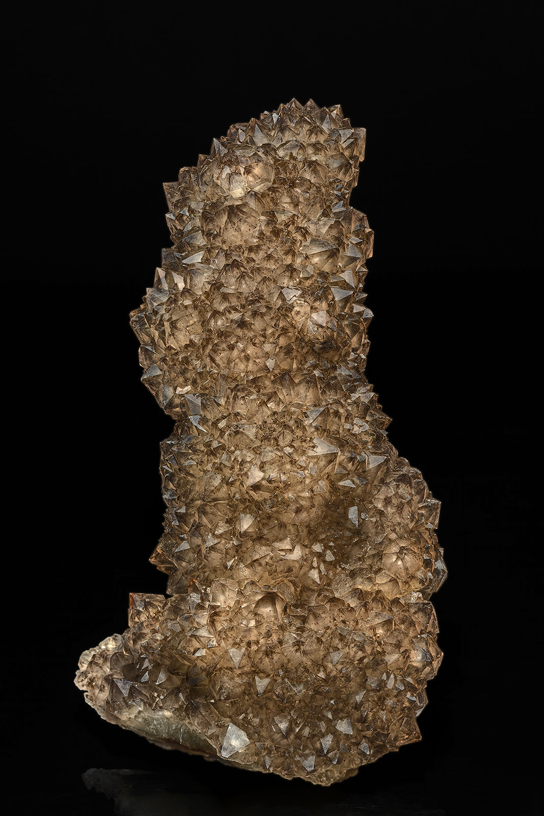 Quartz (variety smoky quartz)
11.1 x 5.7 cm
(Autor: am mizunaka)