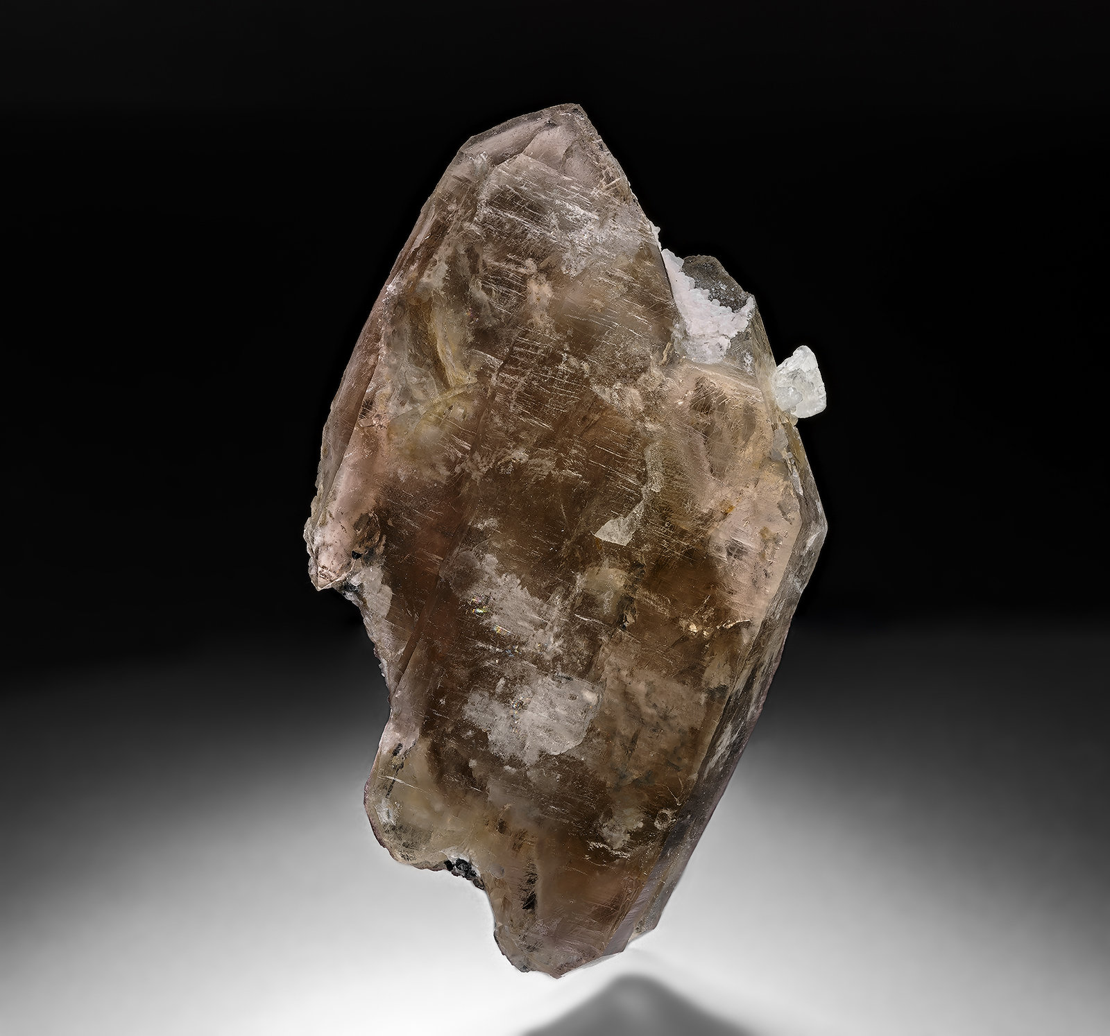 Quartz (variety smoky quartz), Hydroxylherderite
8.3 x 5.0 cm
(Autor: am mizunaka)