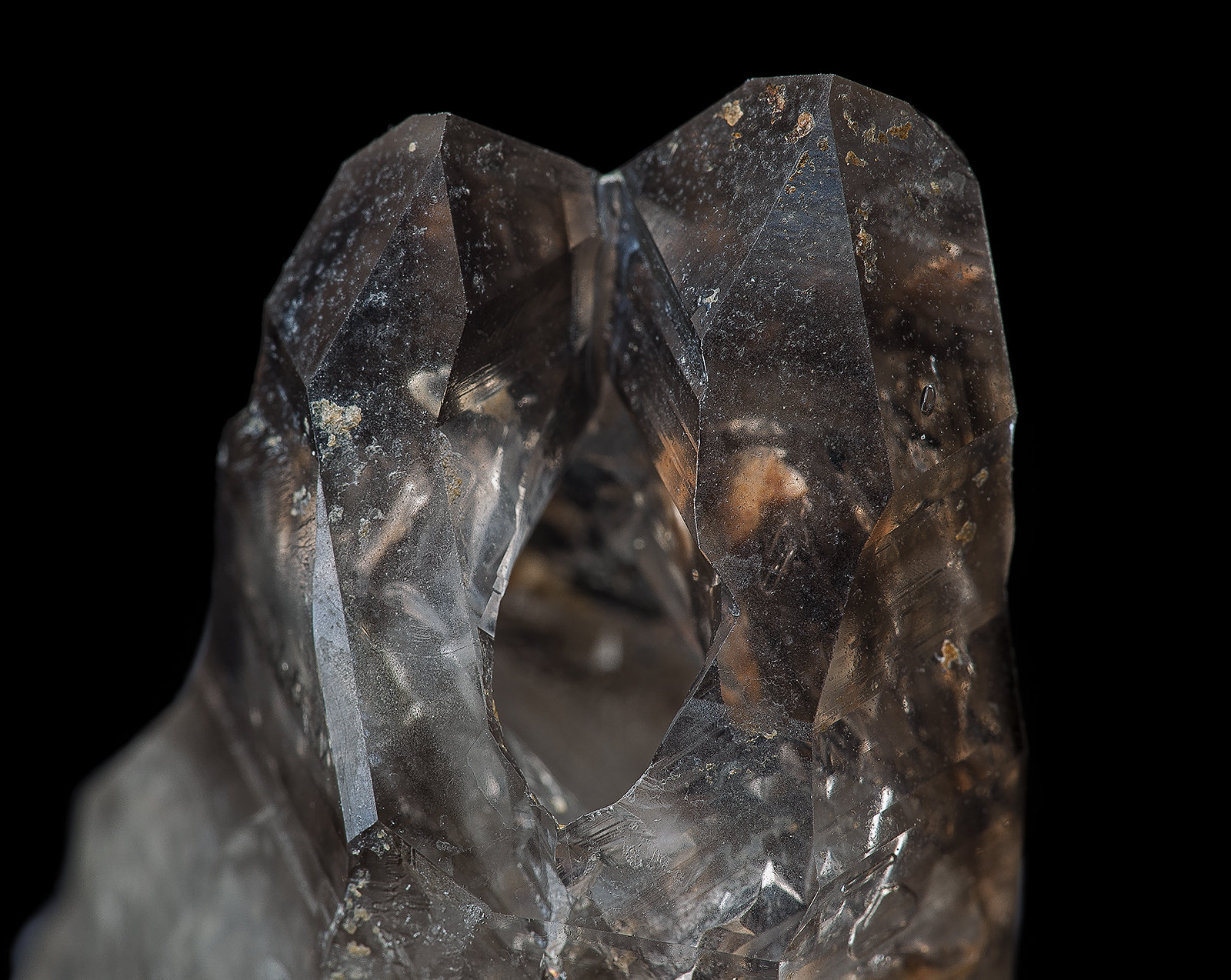 Quartz (var Smoky Quartz)
(Autor: am mizunaka)
