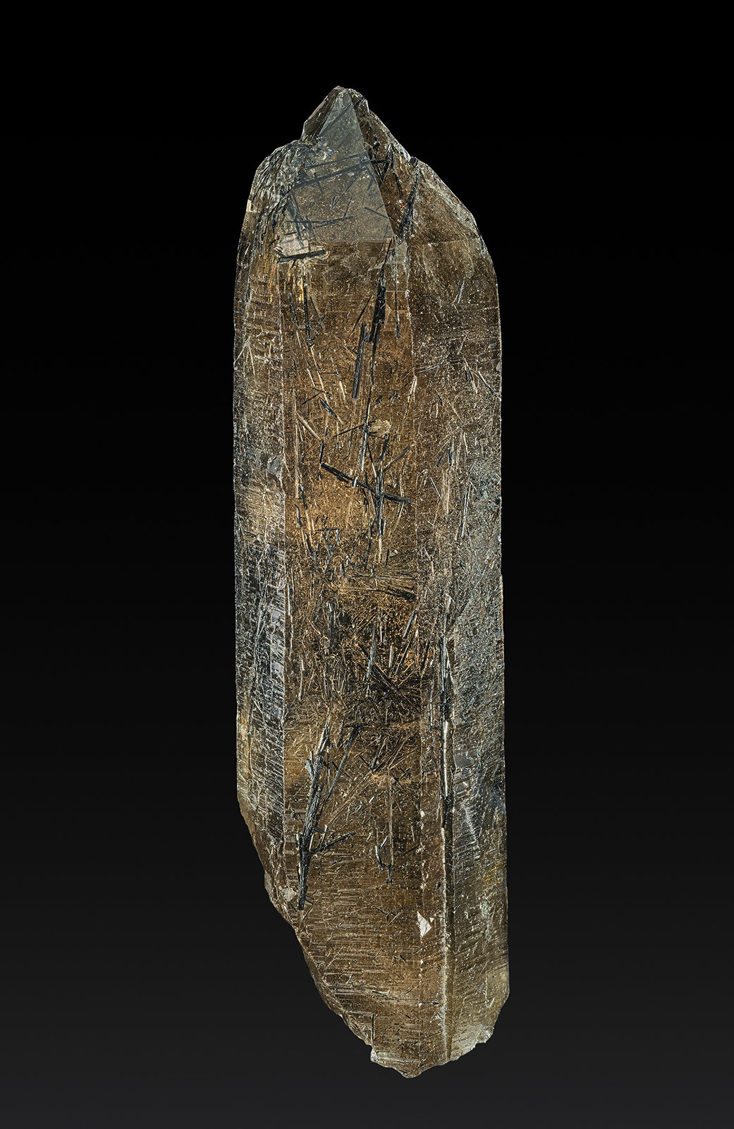 Quartz (variety smoky quartz), Schorl
9.5 x 2.7 cm
(Autor: am mizunaka)