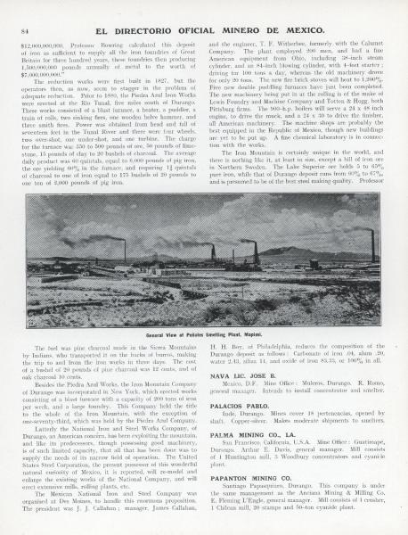(Autor: Peter Megaw)