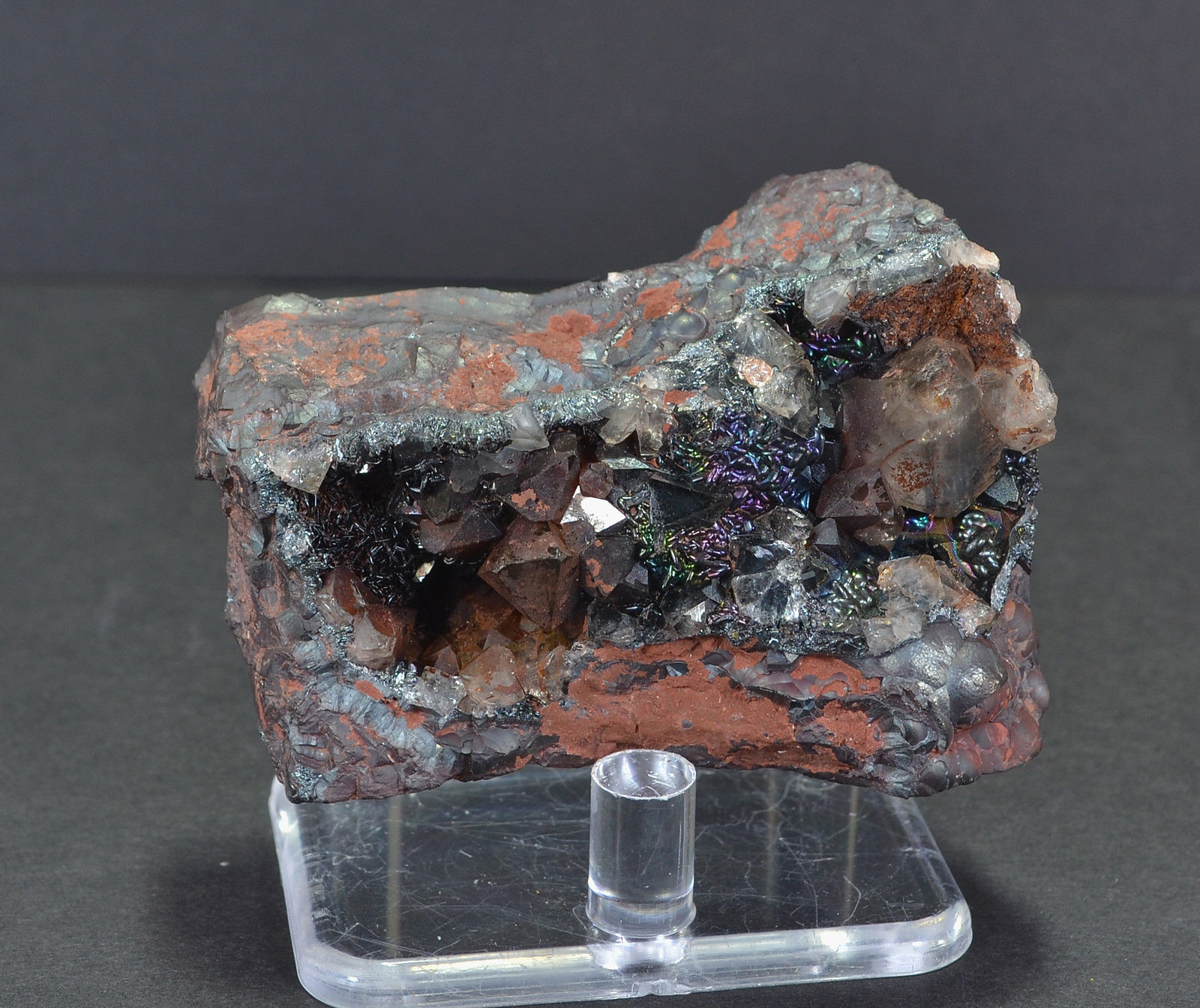 Hematite (var. specularite) and Quartz
5.5 x 3.0 cm
(Autor: captaincaveman)