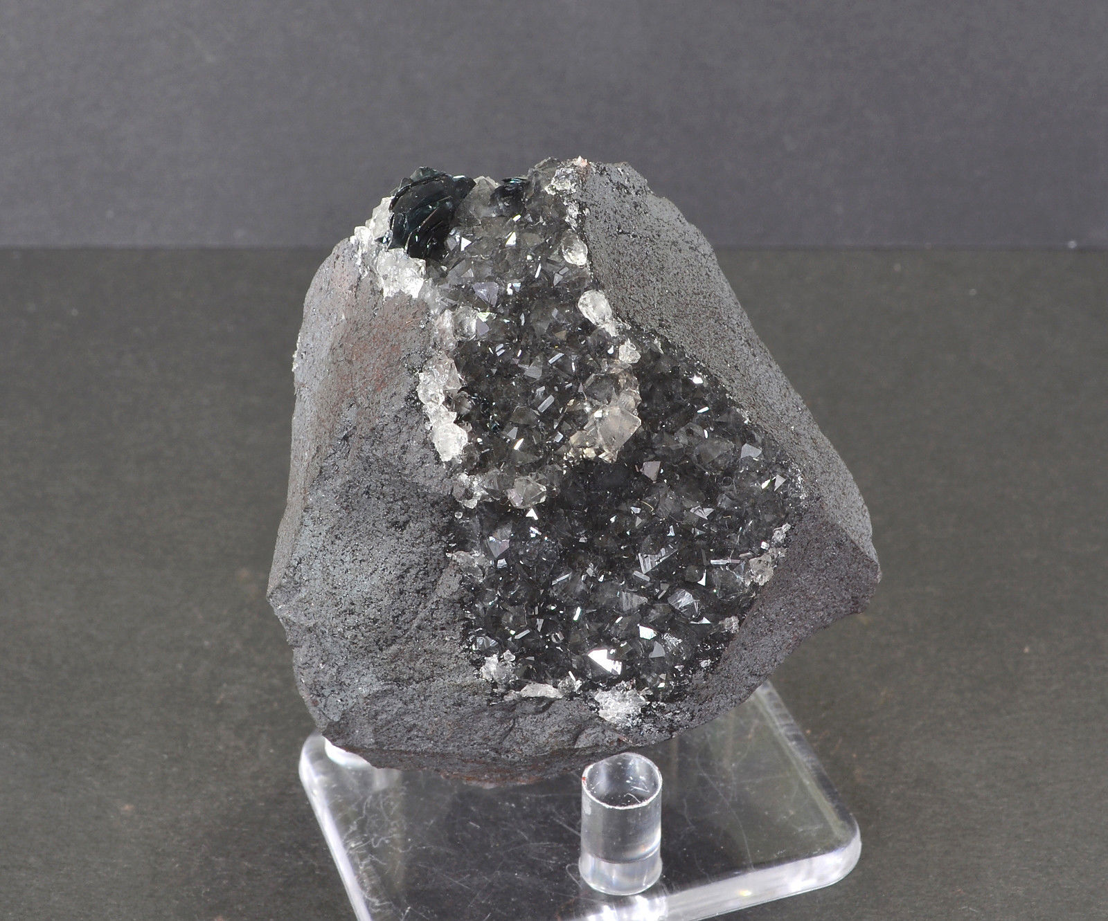 Quartz (var. smokey) and Hematite (var. specularite)
5.0 x 5.5 cm
(Autor: captaincaveman)