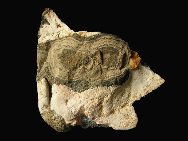 (Autor: ian jones)