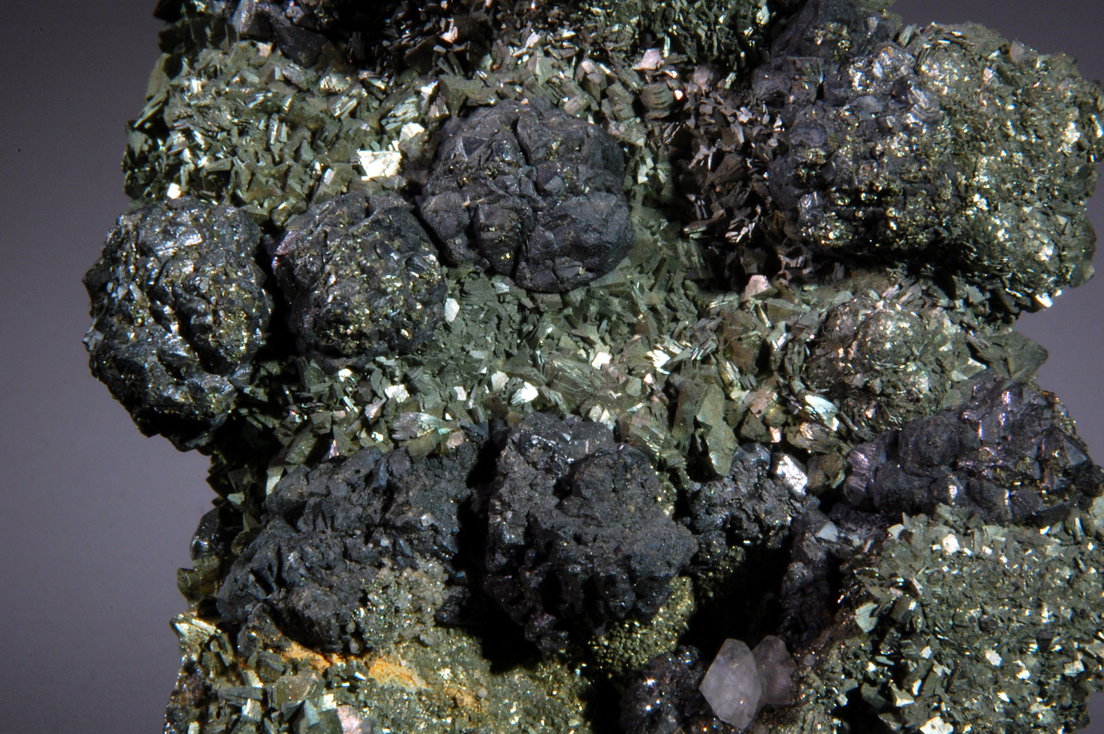 Sphalerite on Marcasite
FOV ~ 3.0  x 4.0 cm
(Autor: Michael Shaw)