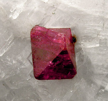 Spinel on Calcite
0.8 × 0.6 cm
(Autor: Jordi Fabre)