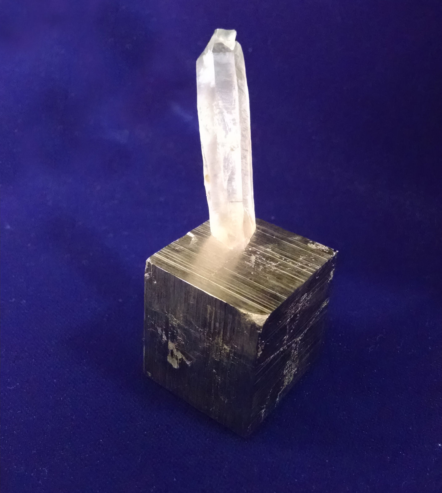Quartz on Pyrite
6.6cm height
(Autor: dontgogreen)
