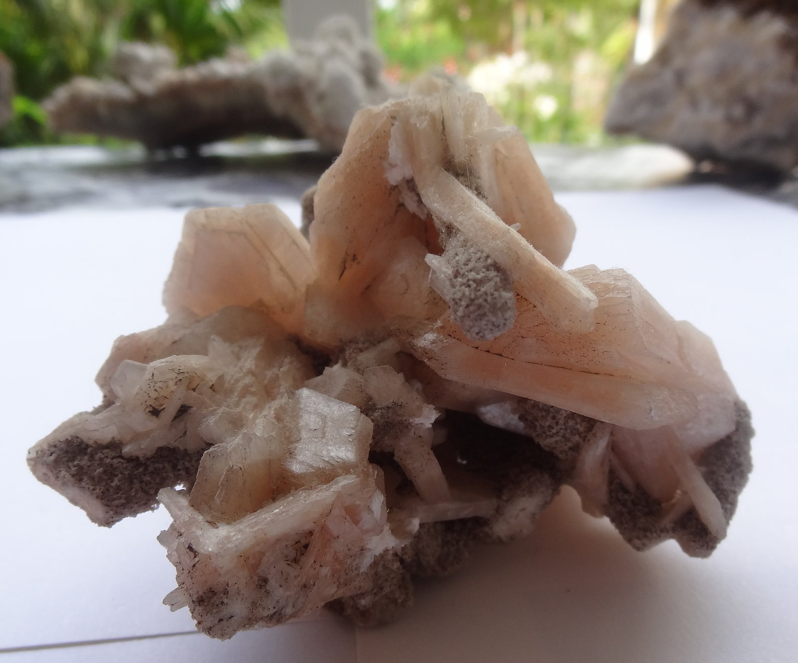 Stilbite and Laumontite
8x6,5x7,4cm
(Autor: Dave van Bladel)