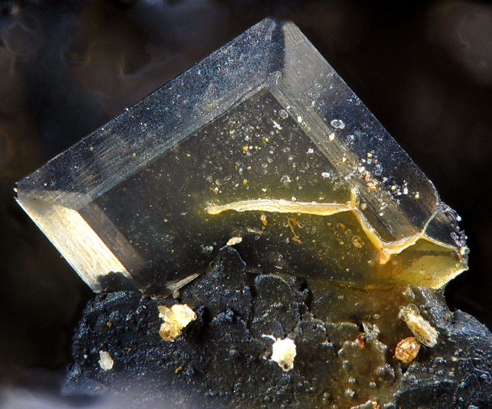 Stolzite
fov 2.4 mm
(Autor: Jordi Fabre)