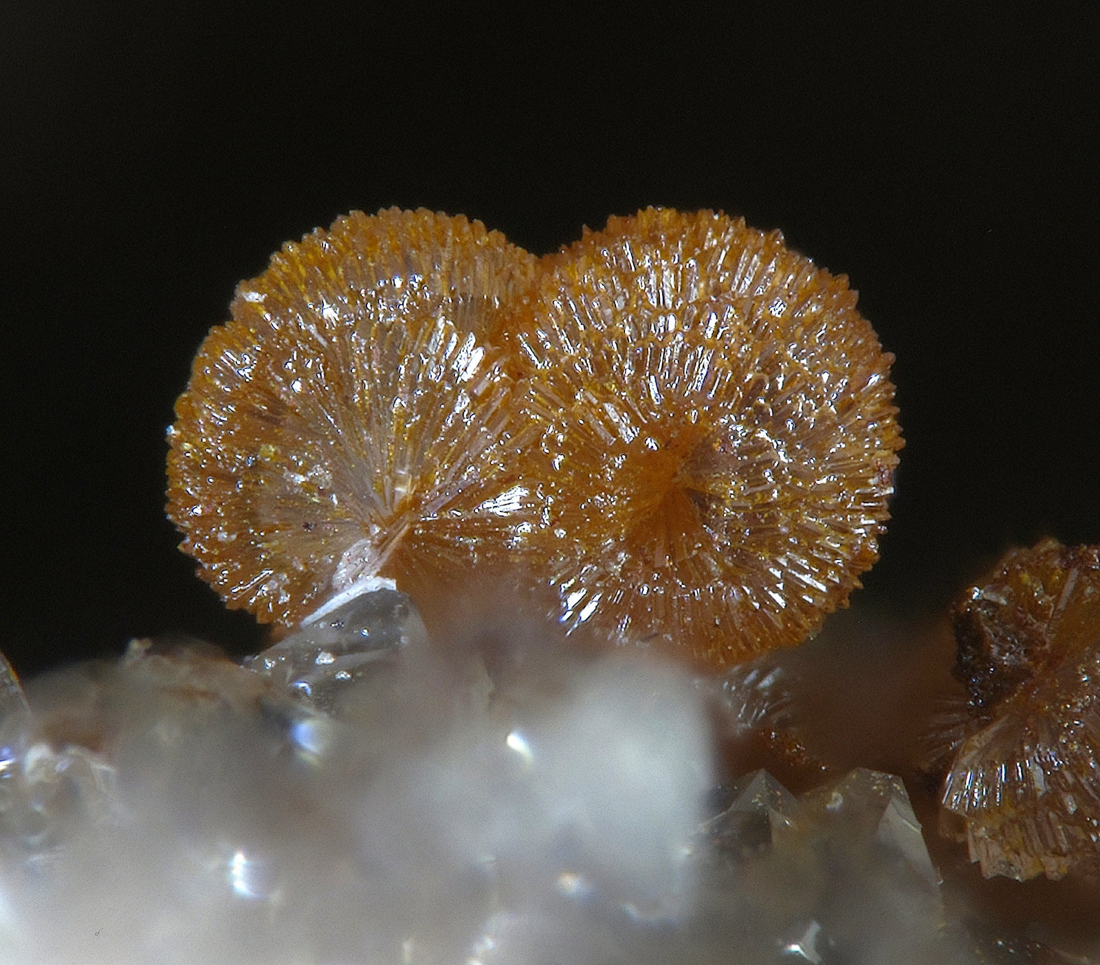 Strengite
FOV 1,4 mm
(Autor: Firmo Espinar)