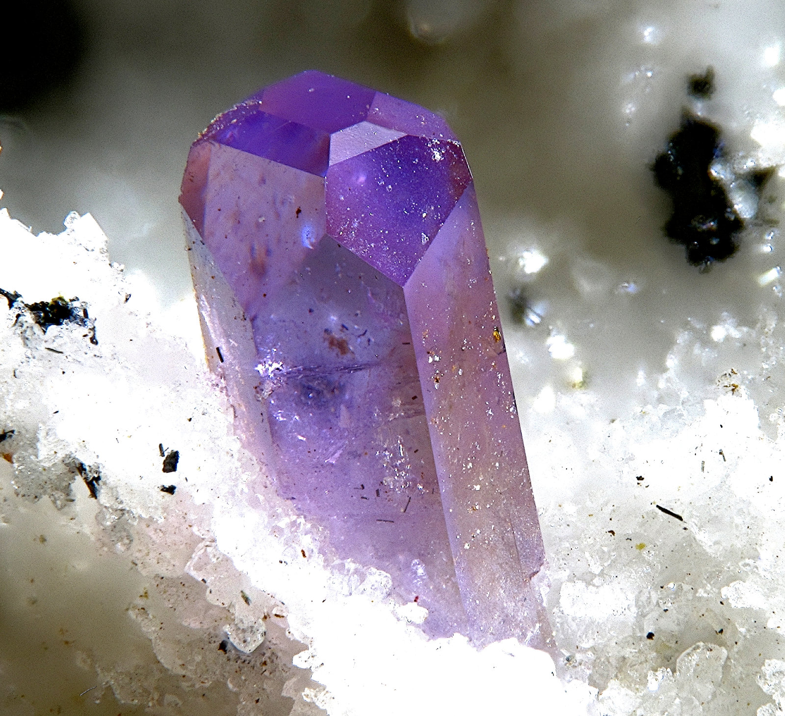 Strengite
FOV 2,4 mm
(Autor: Firmo Espinar)
