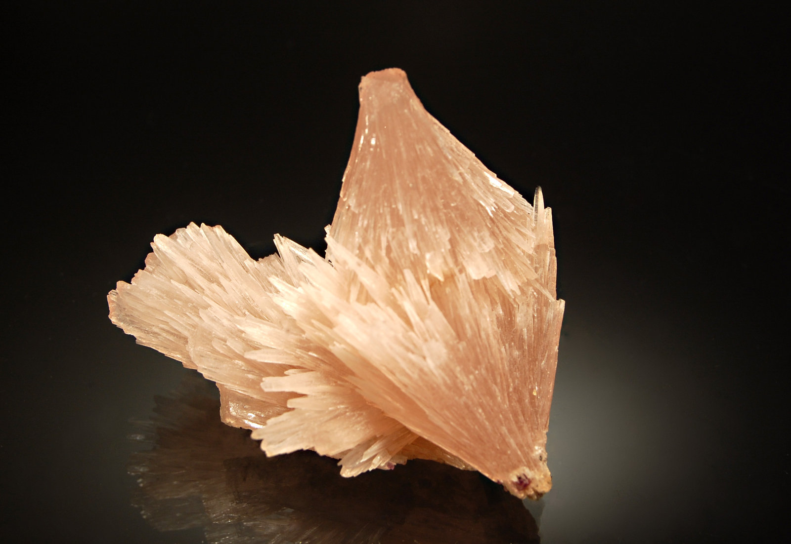 Strontianite
4.0 x 4.5 cm
(Autor: Michael Shaw)