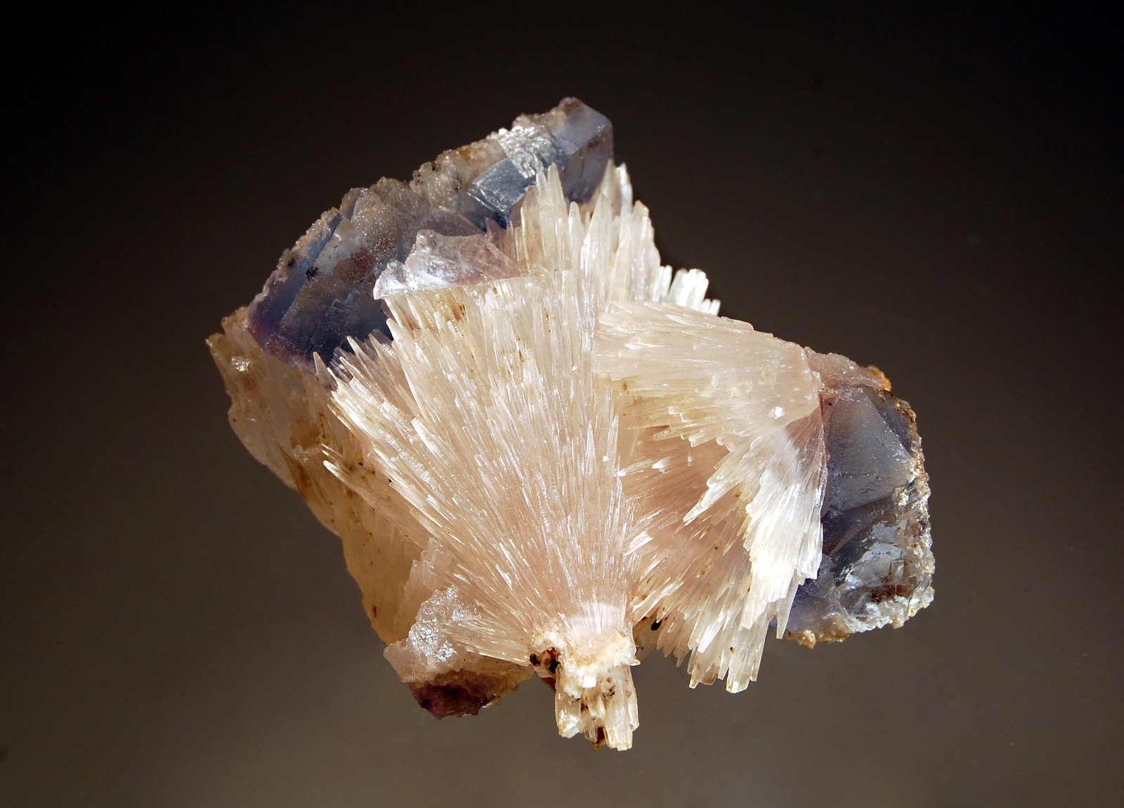 Strontianite
4.5 x 6.8 cm
(Autor: Michael Shaw)
