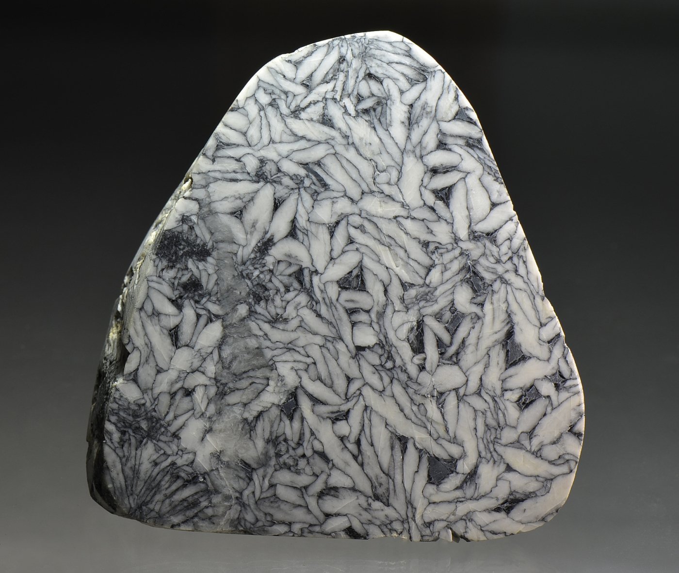 Magnesite (var. pinolite)
10 x 11 cm
(Autor: Martin Rich)