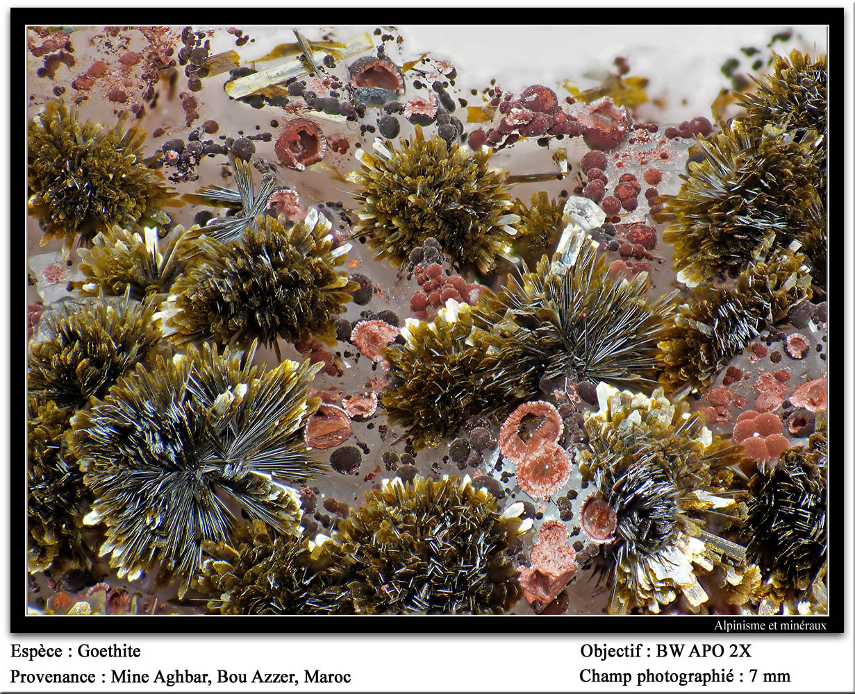 Goethite, erythri<br />{LOCALITAT}