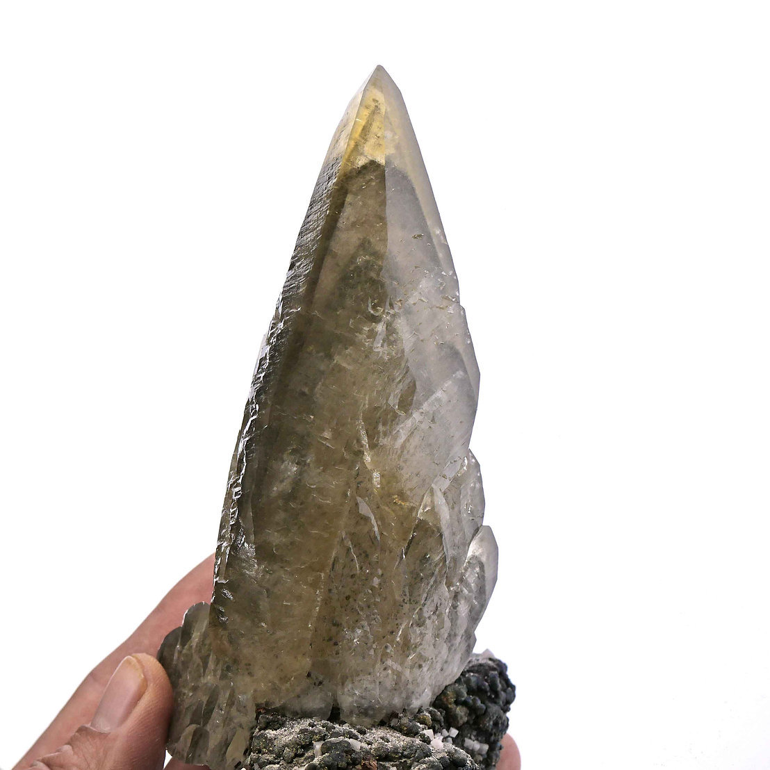 Calcite
Specimen size 18,5 cm, calcite crystal 16,5 cm
(Autor: Tobi)