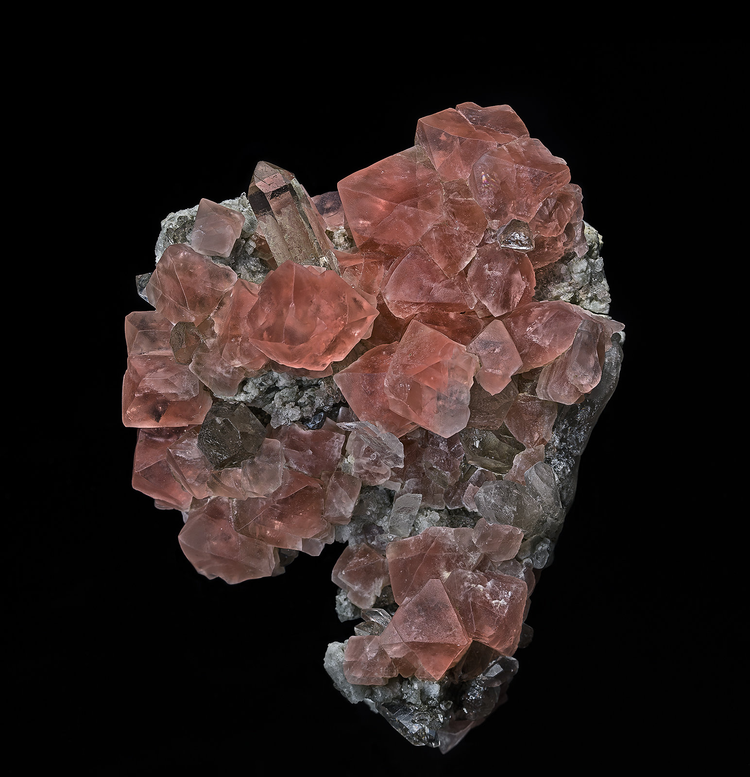 Fluorite, Quartz
7.0 x 9.0 cm
(Autor: am mizunaka)
