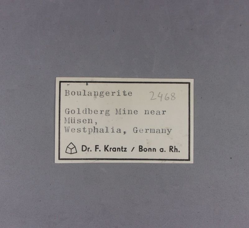 _Boulangerite, original label.
7,7 x 5,6 x 3 cm.
(Autor: J. G. Alcolea)