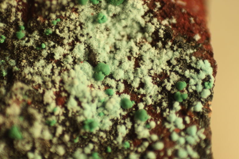 Aurichalcite and Malaquite
FOV 9 mm
(Autor: Firmo Espinar)