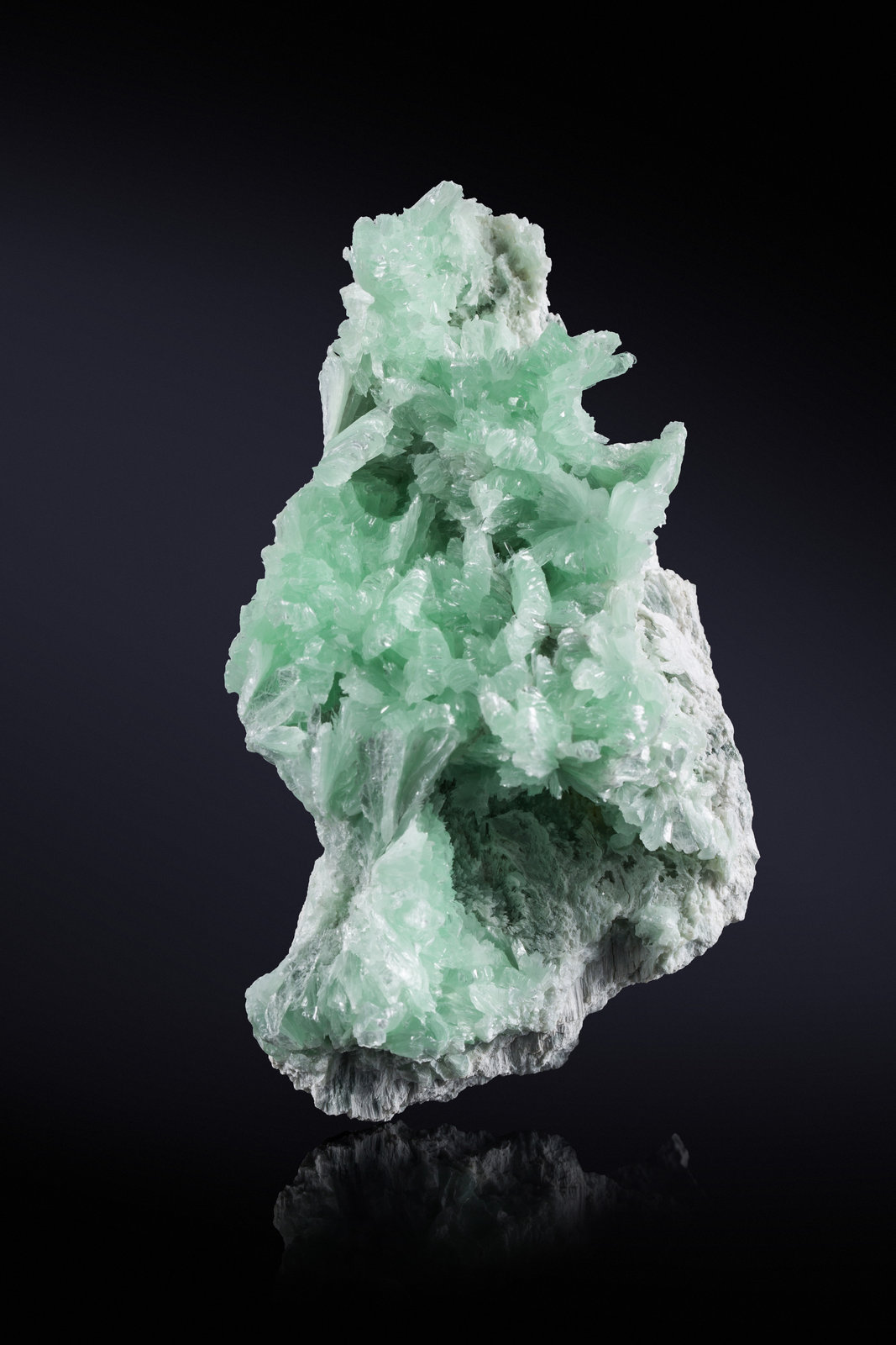 Talc
8 x 7.5 x 13 cm / main crystal: 2.0 cm
(Autor: MIM Museum)