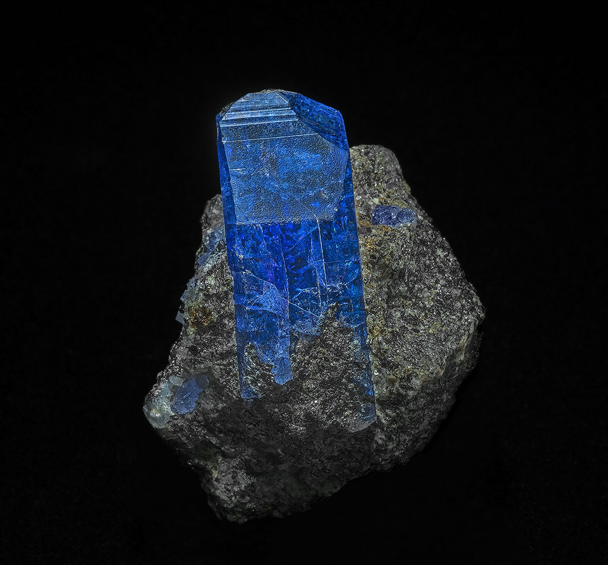 Zoisite (variety tanzanite), Pyrite
4.8 x 3.5 cm
(Autor: am mizunaka)