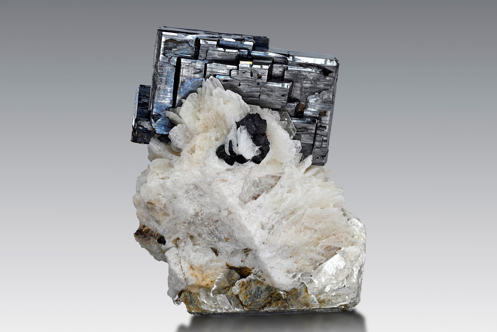 Tantalite-(Fe) on Albite and with Muscovite
6 x 5 x 6.5 cm / main crystal: 5 cm.
(Autor: MIM Museum)