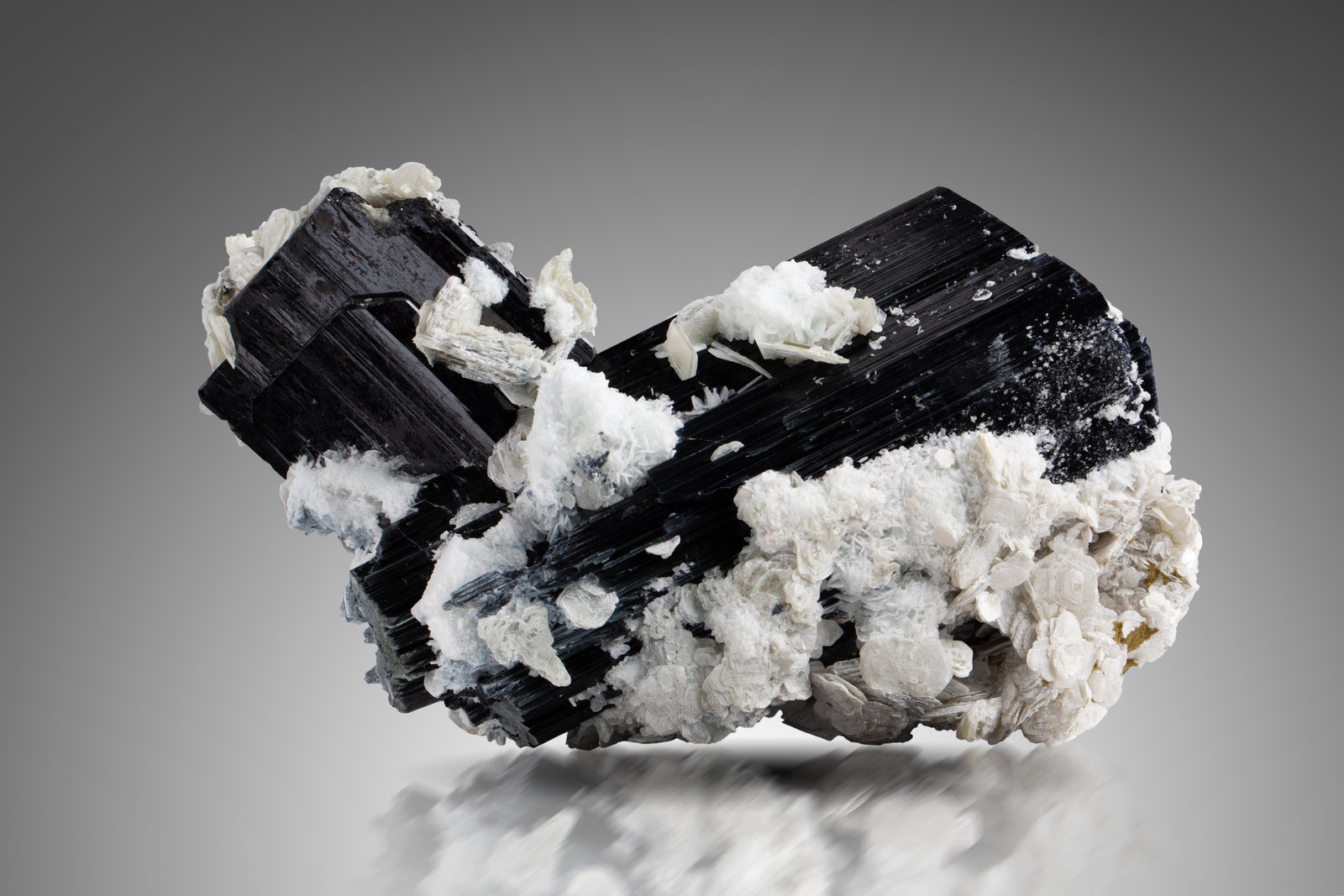 Tantalite-(Mn) on Schorl with Albite and Muscovite
15 x 9 x 17 cm / main crystal: 5.6 cm
(Autor: MIM Museum)