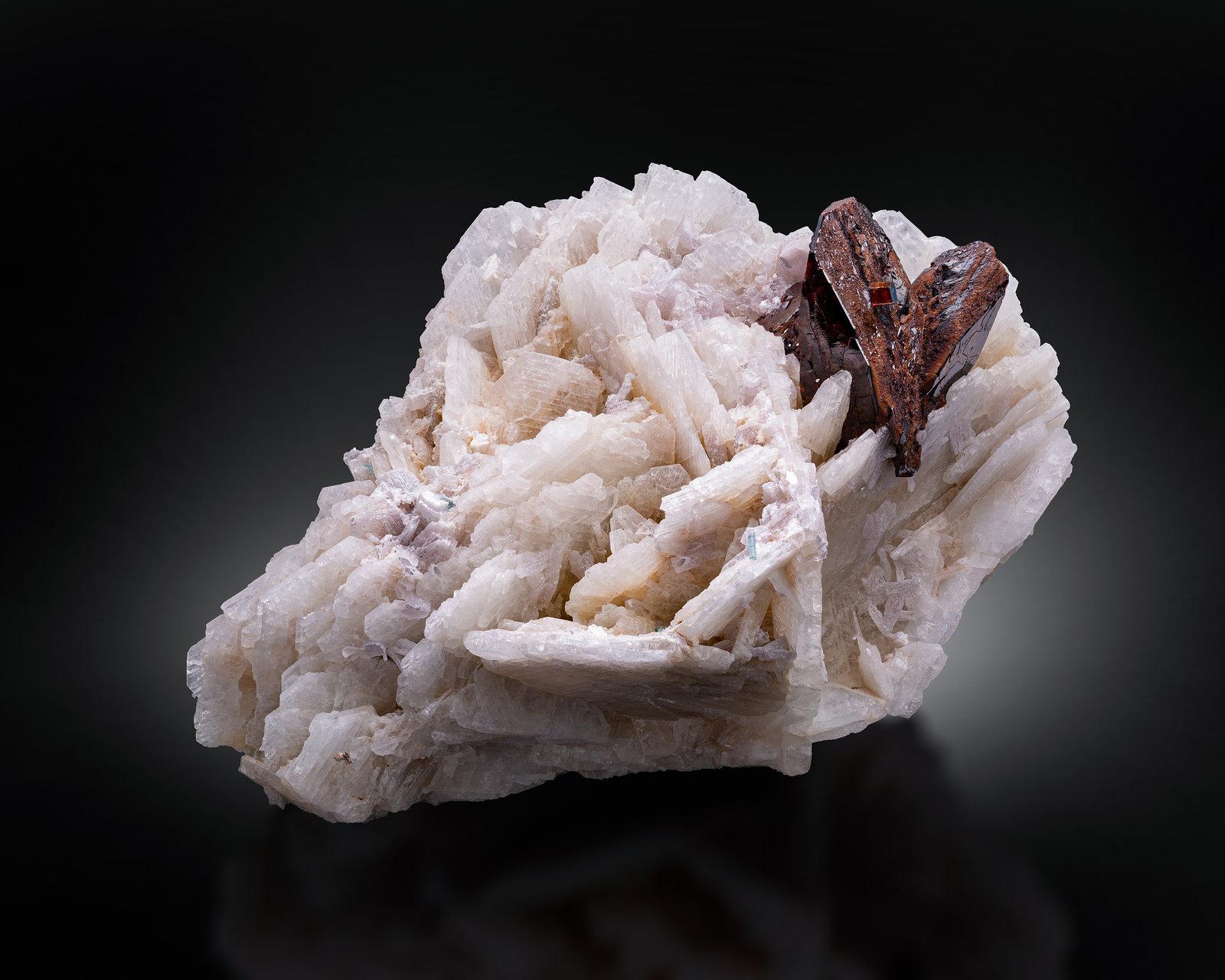 Tantalowodginite on Albite with 'lepidolite'
10 x 6 x 5.5 cm / main crystal: 2.9 cm.
(Autor: MIM Museum)