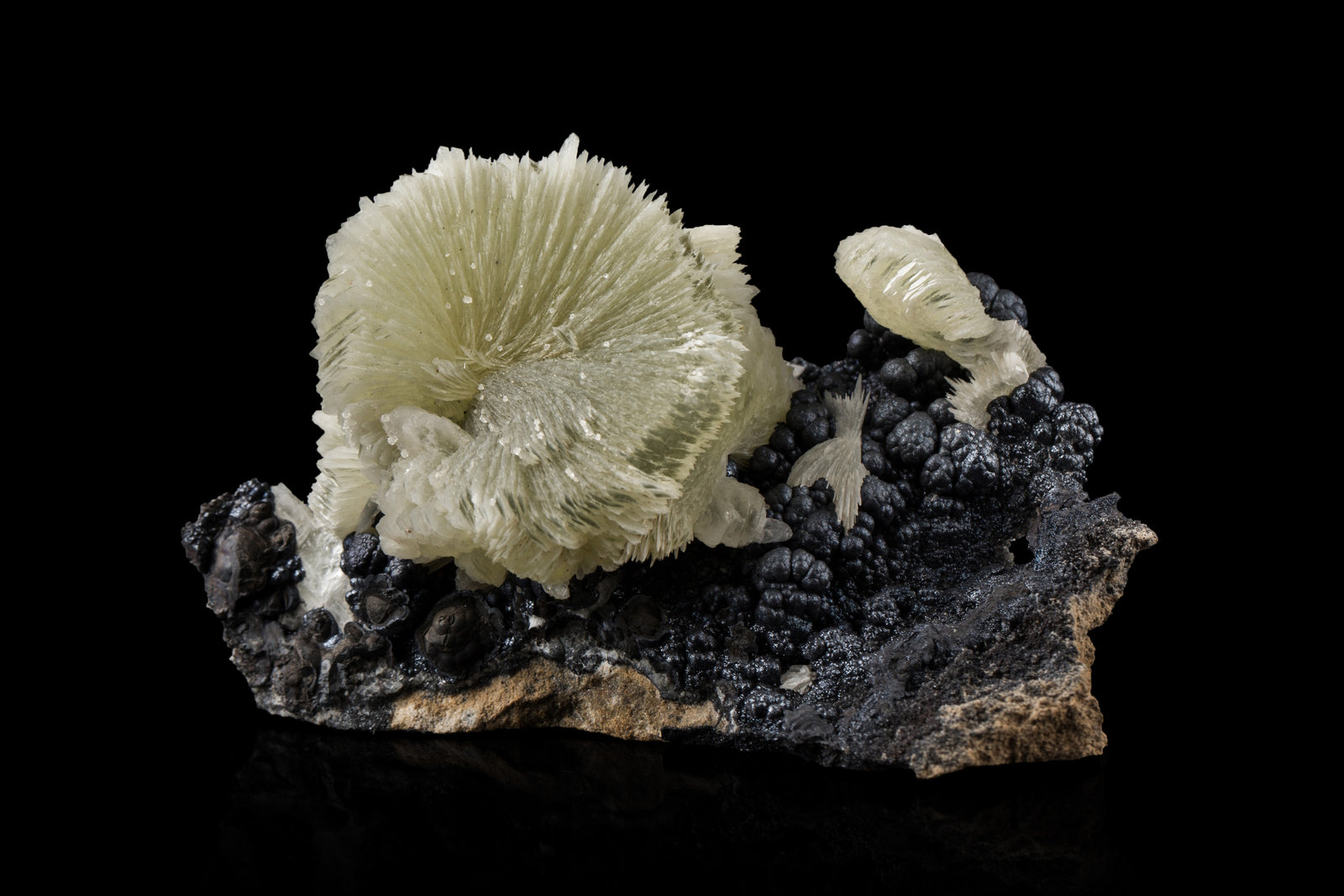 Tarbuttite
10 x 6 x 5.5 cm / main crystal: 2.3 cm
(Autor: MIM Museum)