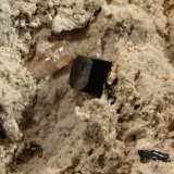 Bixbyite
4.9 x 5.6 cm
(Autor: Michael Shaw)