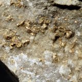 Sylvanite
3.0 x 6.0 cm
(Autor: Michael Shaw)