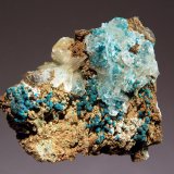 Rosasite
3.1 x 3.4 cm
(Autor: Michael Shaw)