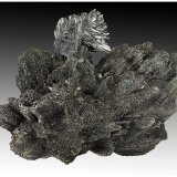 Berthierite, Stibnite, Tetrahedrite
16 cm x 14 cm x 7 cm
(Autor: silvia)